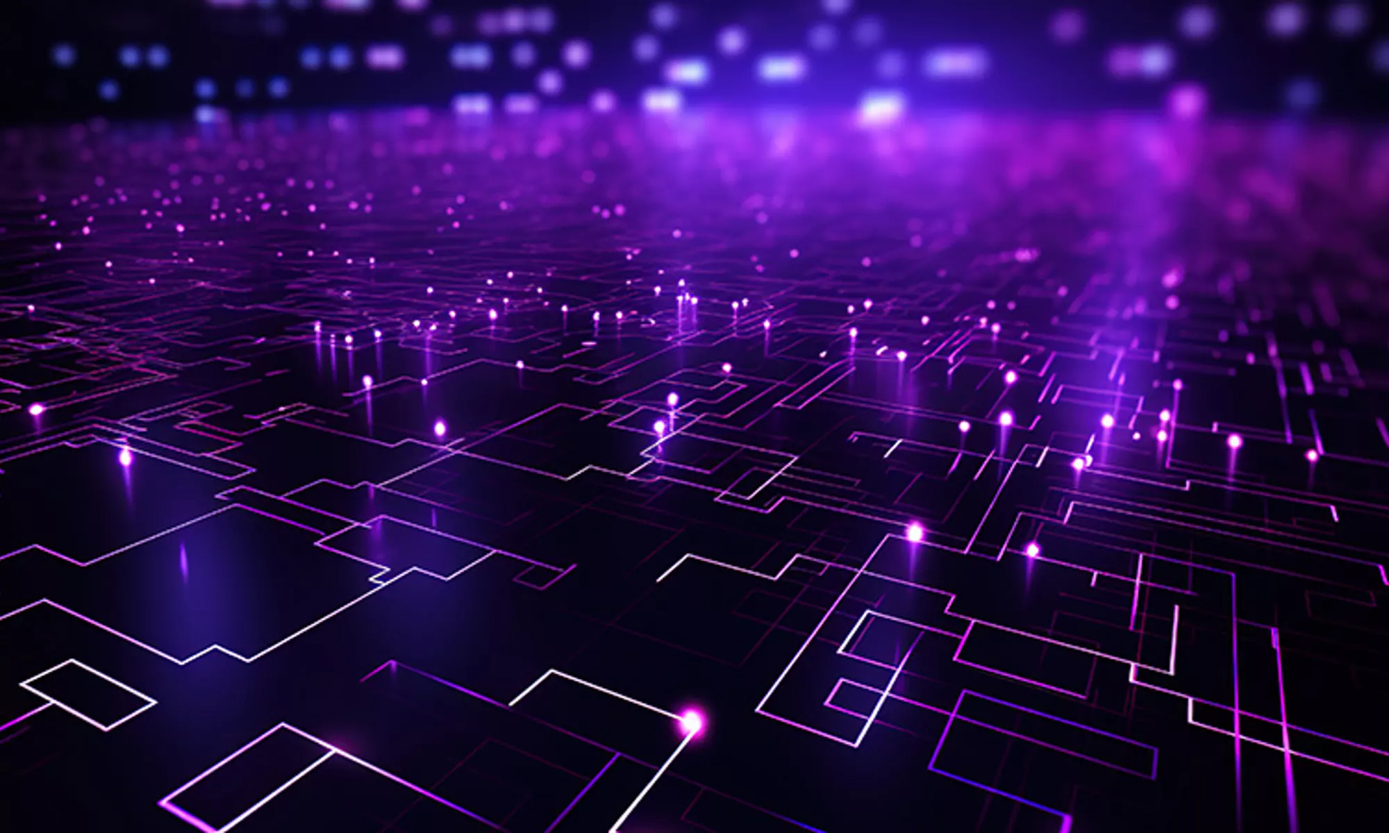 紫光和藍光抽象波浪